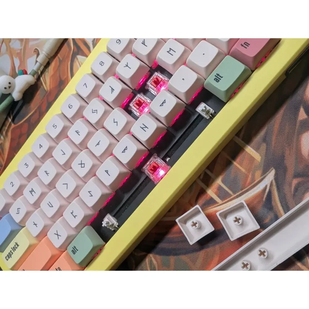 DROP CSTM65 Mechanical Keyboard WITH CHERRY MX RED, GREAT SOUNDING KB